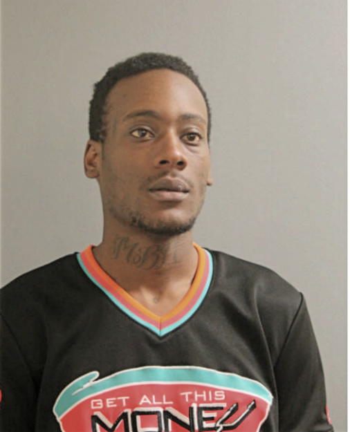 ANTHONY D ANDERSON, Cook County, Illinois