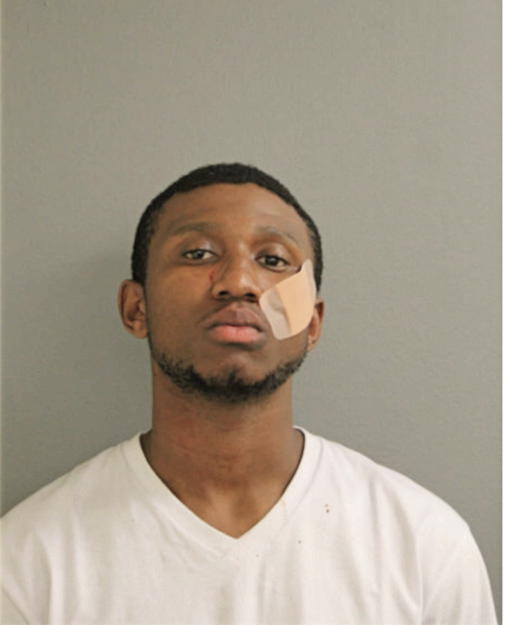 BRANDON E BATES, Cook County, Illinois