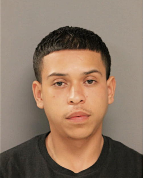 HERIBERTO H BOLANOS, Cook County, Illinois