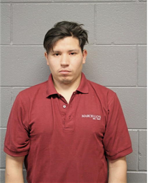 DOMINGO CRUZ, Cook County, Illinois
