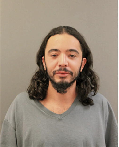 LEONARDO FERNANDEZ, Cook County, Illinois