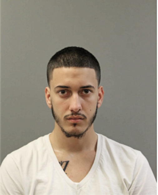 NICHOLAS A FRANC, Cook County, Illinois