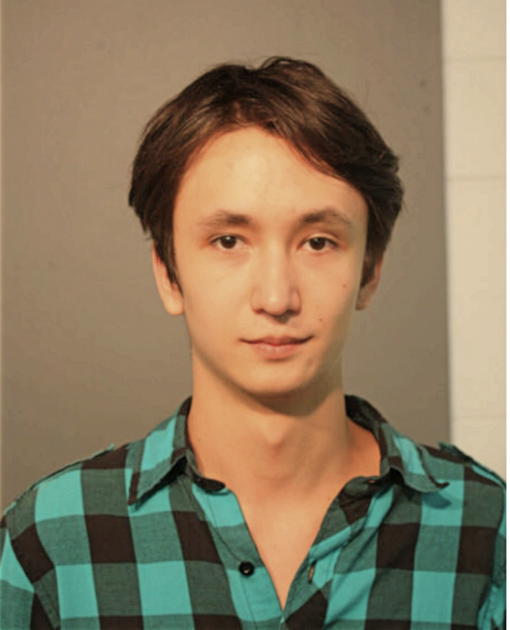 MATTHEW AF FUJIMOTO, Cook County, Illinois