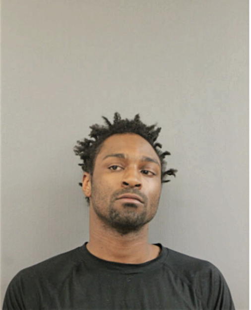 ALBERT L GOINS, Cook County, Illinois