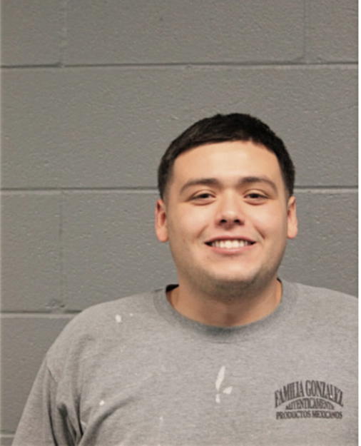 FERNANDO GONAZALEZ, Cook County, Illinois