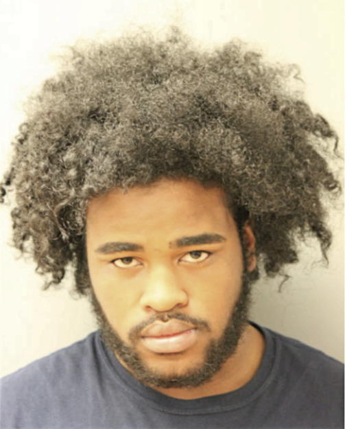 RYSHARD L HARRIS, Cook County, Illinois