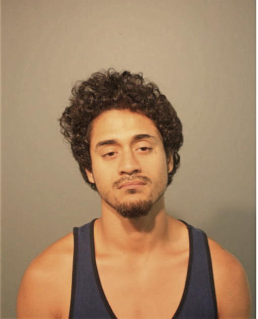 BALTAZAR J HERNANDEZ, Cook County, Illinois