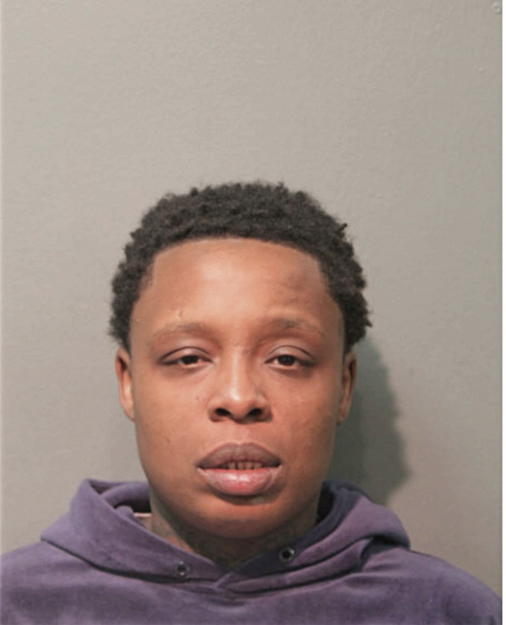 MARTHESHA M JAMES, Cook County, Illinois