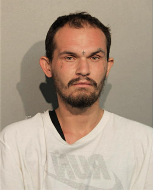 CHRISTOPHER LEE, Cook County, Illinois