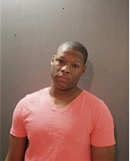 TIMOTHY M LEWIS, Cook County, Illinois