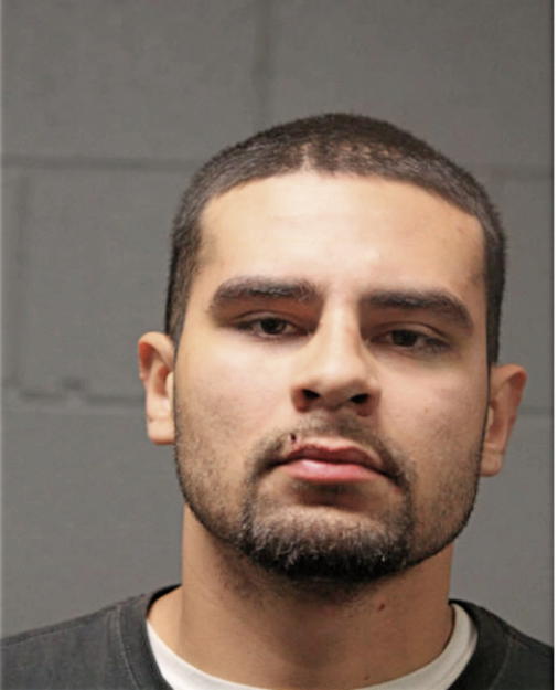 DANIEL LINARES, Cook County, Illinois