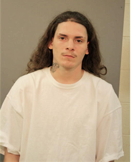 MICHAEL J LUMINO, Cook County, Illinois