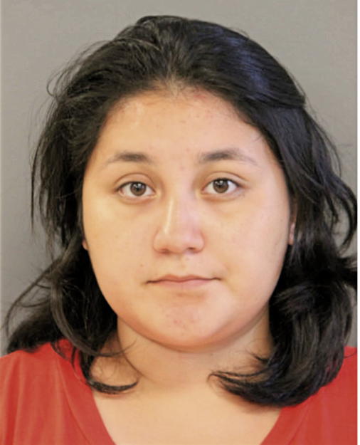 ROSA J MARTINEZ, Cook County, Illinois