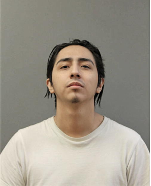 ERIK E ORTEGA-GORDILLO, Cook County, Illinois