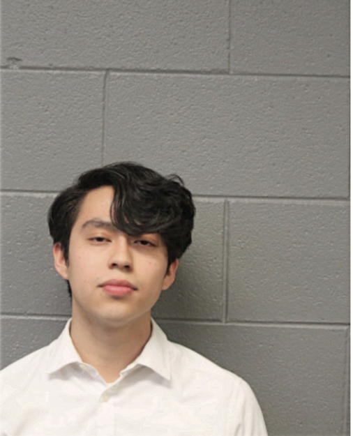 VICENTE RAMIREZ, Cook County, Illinois