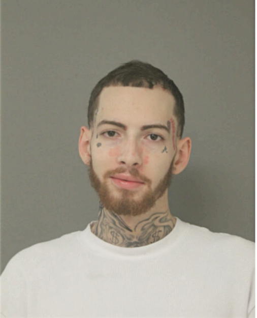 ANDREW ANTHONY TORRES, Cook County, Illinois