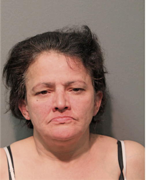 MARIBEL I TORRES, Cook County, Illinois