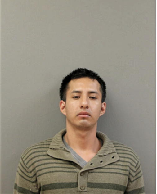 LUIS ANTONIO AGUAIZA MIZHQUIRI, Cook County, Illinois