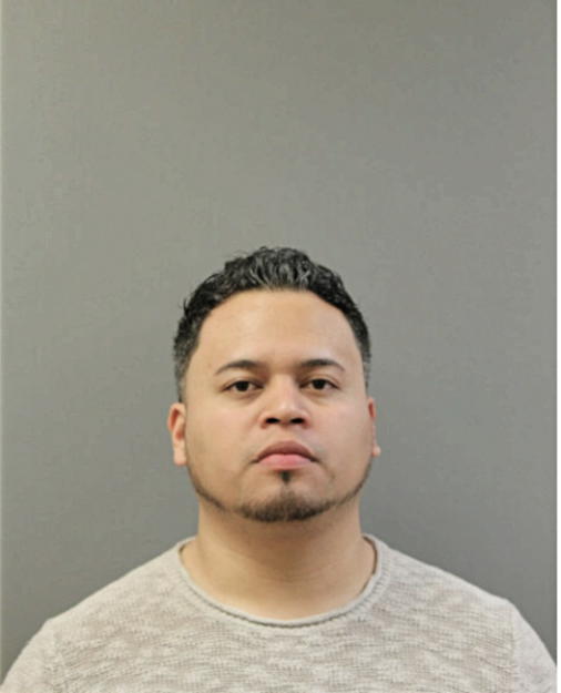 CARLOS A AVALOS, Cook County, Illinois
