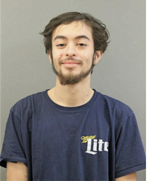 SAUL AVILES, Cook County, Illinois