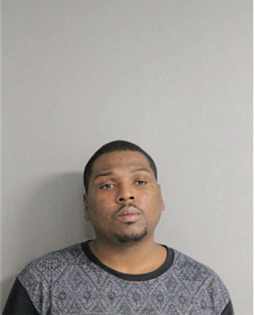 MICHAEL P BARNES, Cook County, Illinois