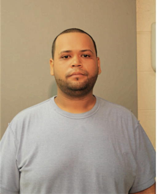 SANTOS M BORGES, Cook County, Illinois