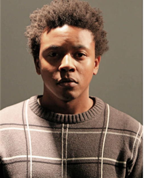 MICHAEL J COLLINS, Cook County, Illinois