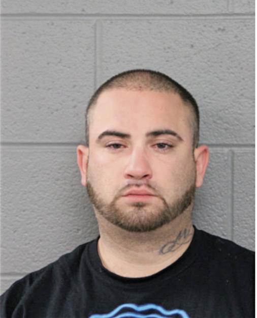 ANTHONY J DAVILA, Cook County, Illinois