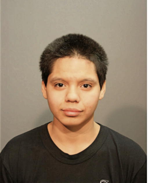 ANGELICA M ESCAMILLA, Cook County, Illinois