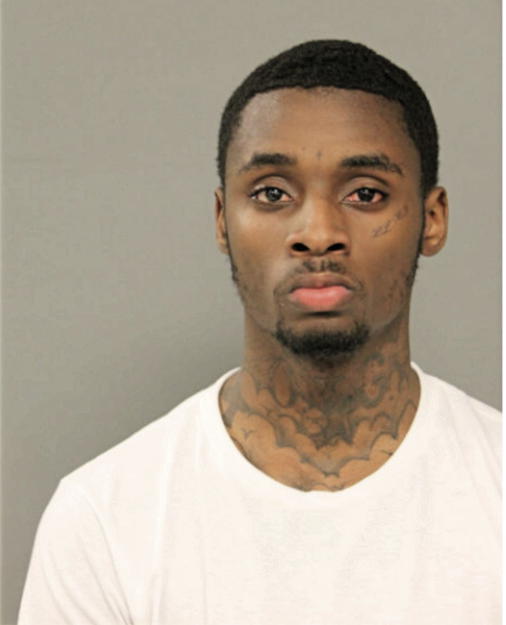 KENDALL A FLEMING, Cook County, Illinois