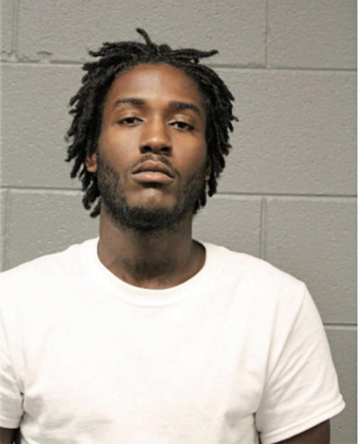 MICHAEL D FLEMING, Cook County, Illinois