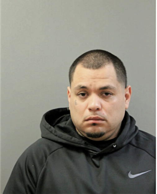 DANNY FLORES, Cook County, Illinois