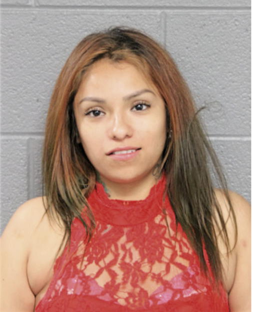 ANA HERRNANDEZ, Cook County, Illinois