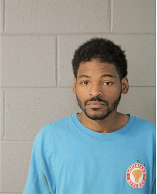 MICHAEL J IVY, Cook County, Illinois