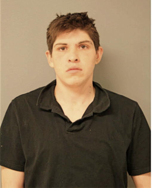 VINCENZO MANDILE, Cook County, Illinois