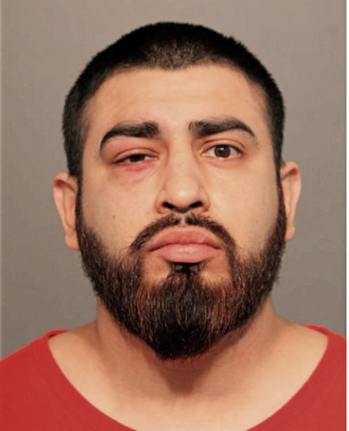 VICENTE MARTINEZ, Cook County, Illinois