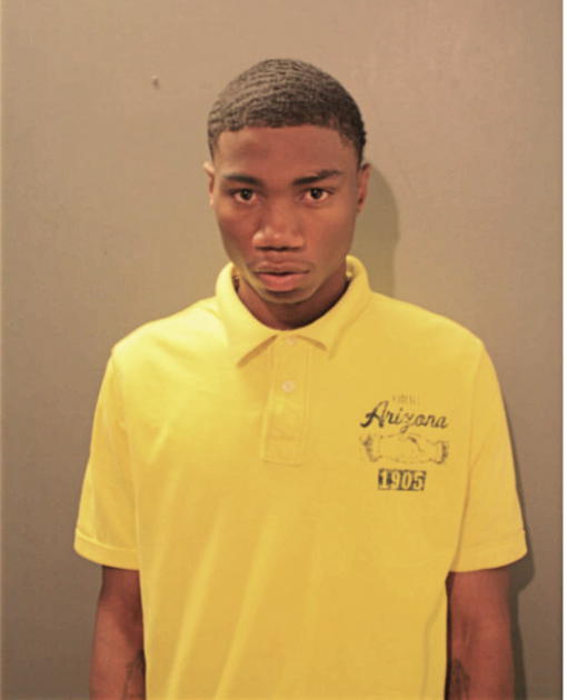 BRANDON J MATHIS, Cook County, Illinois