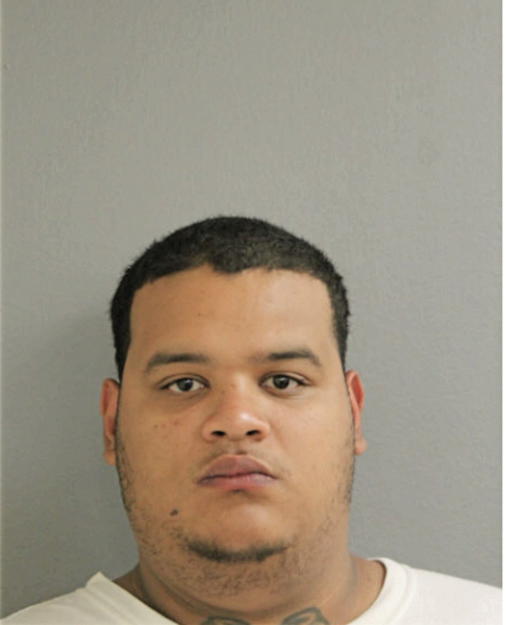 HIRAM JR MEDINA, Cook County, Illinois