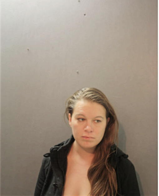 MELISSA A METZ, Cook County, Illinois