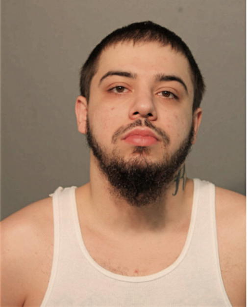 RASHID R MUJKOVIC, Cook County, Illinois