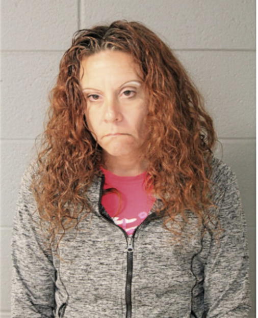 JANICE L NICASTRO, Cook County, Illinois