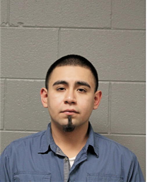 PABLO L ORTIZ, Cook County, Illinois