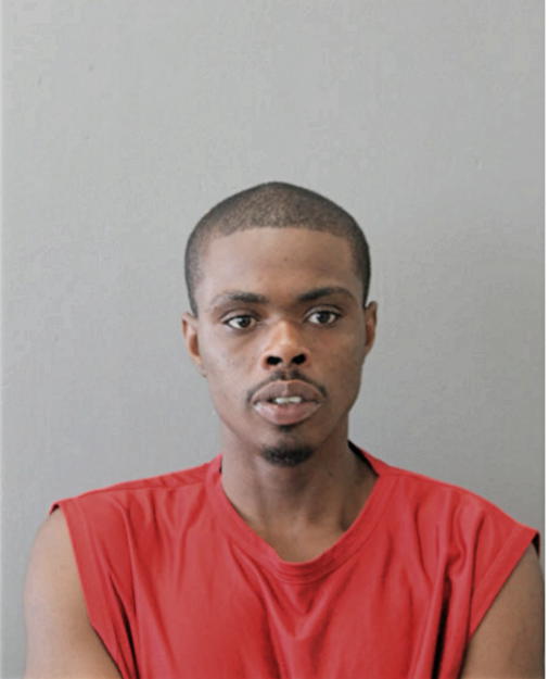 CHRISTOPHER J PATTON, Cook County, Illinois