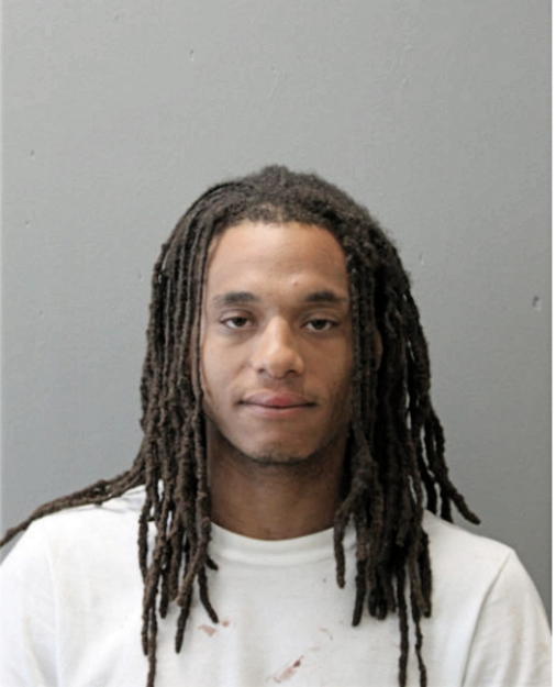 DANE R PHENEGAR, Cook County, Illinois