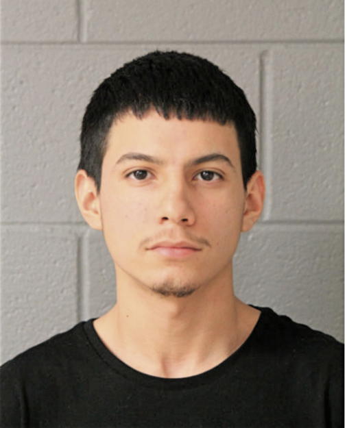 OSIEL ROBLES, Cook County, Illinois