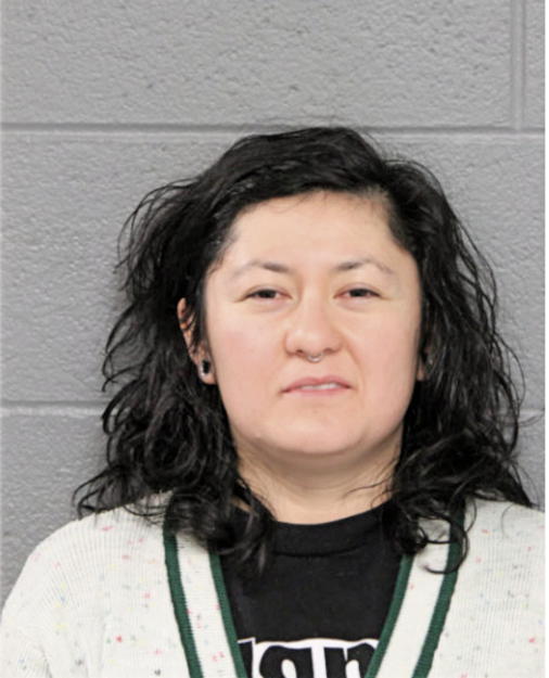 ROSA P RODRIGUEZ, Cook County, Illinois