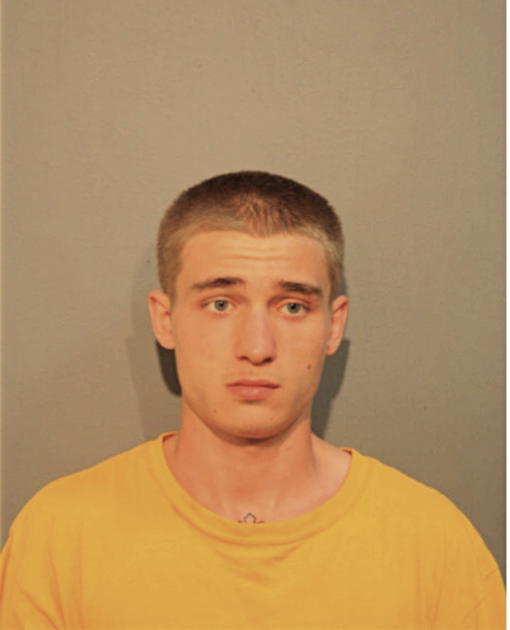 EVAN T ROMAN, Cook County, Illinois