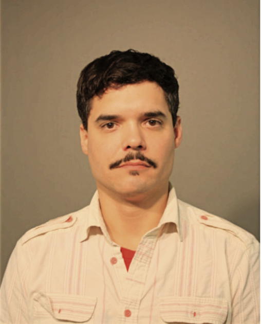 MICHAEL S SIMMONS, Cook County, Illinois