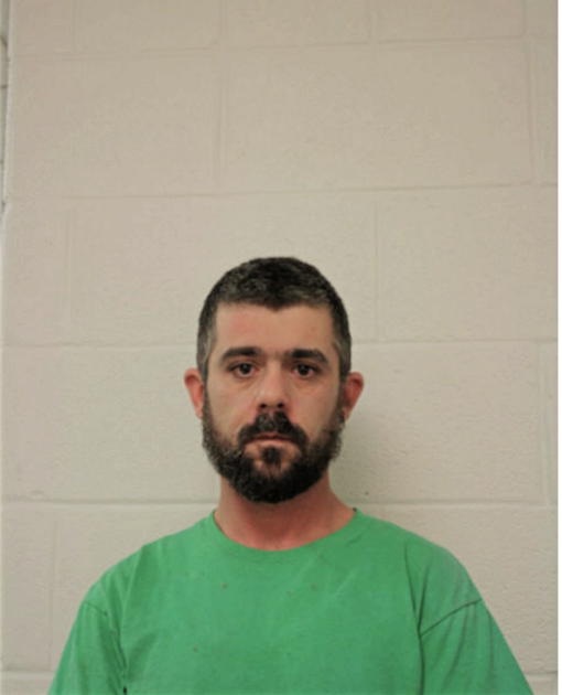 MICHAEL J STALLONE, Cook County, Illinois