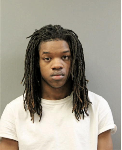 TERRELL A STINSON, Cook County, Illinois